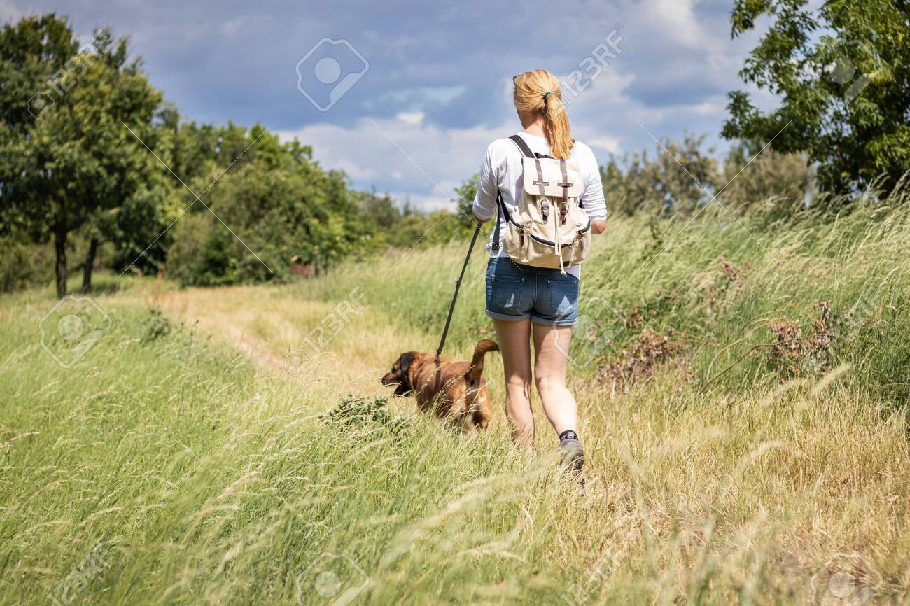 dog walking backpack