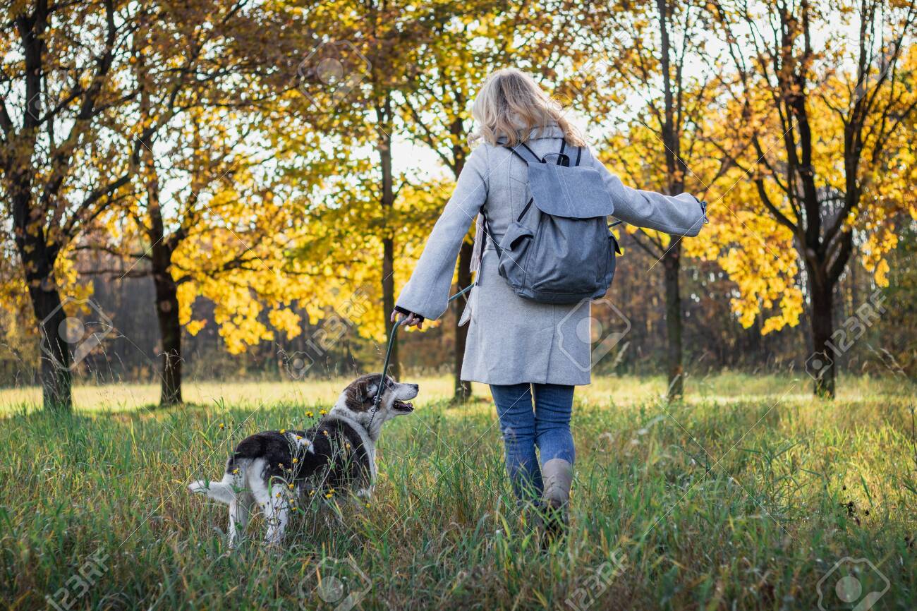 backpack for dog walking