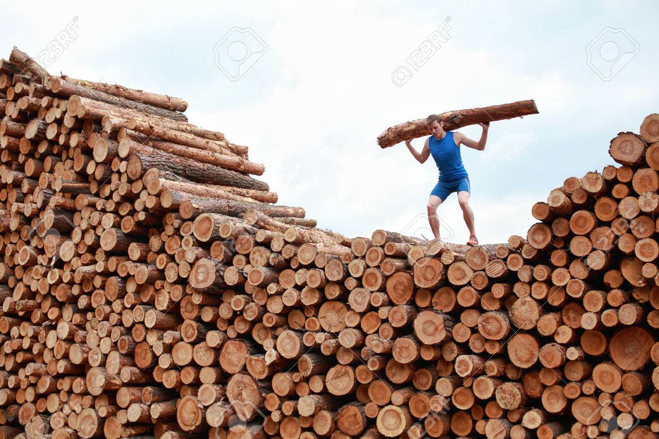 man on top of large pile of logs, lifting heavy log - training - 26024833 man on top of large pile of logs, lifting heavy log - training - 26024833