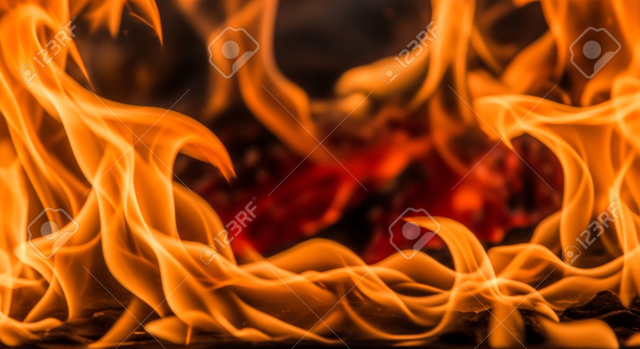 etiam-dictum-ipsum-a-felis