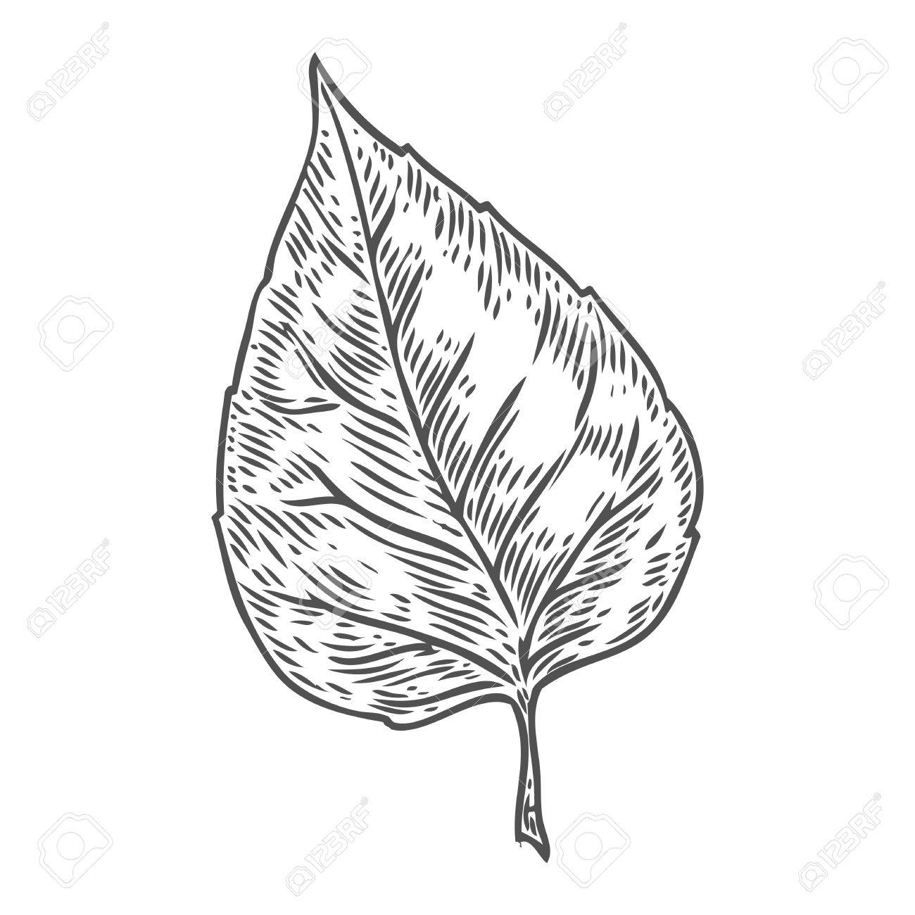 vector autumn hand drawn
