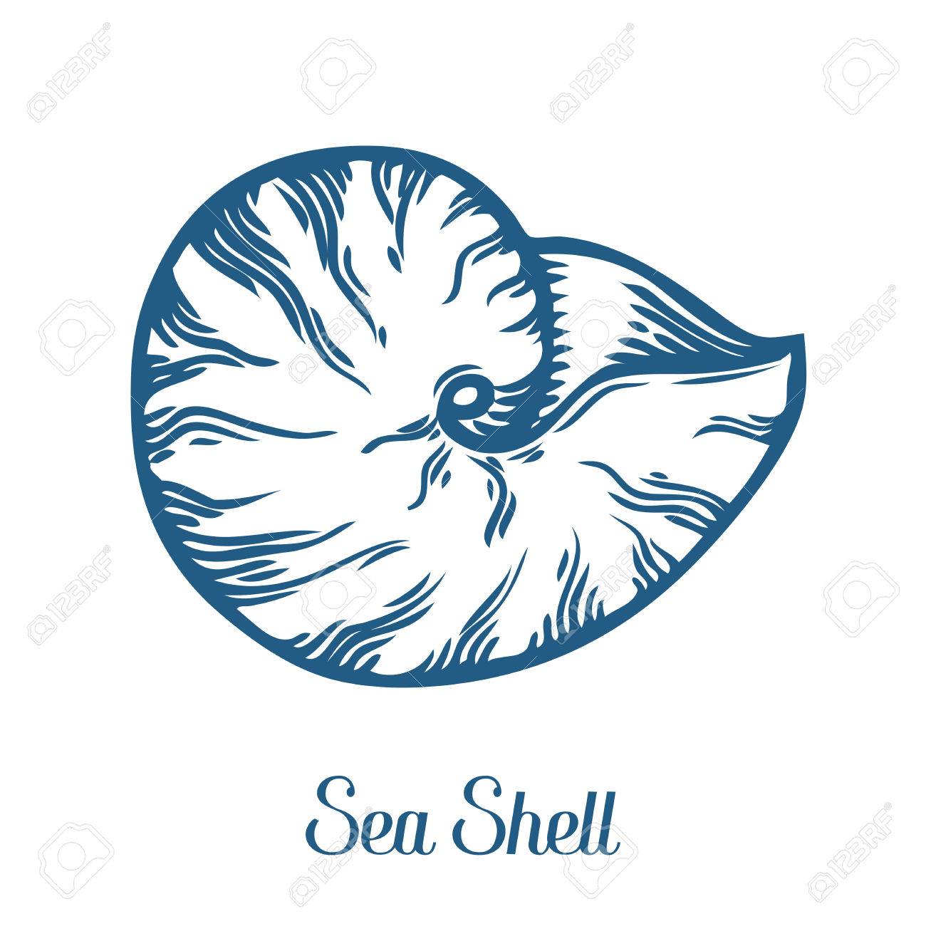 貝殻 貝殻 自然海水生水中ベクトル 手描き下ろし海洋白い背景のイラストを彫刻 のイラスト素材 ベクタ Image