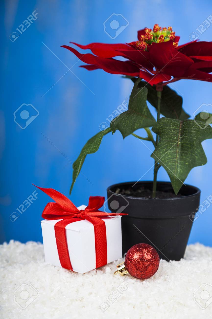 Biglietto Stella Di Natale.Immagini Stock I Regali Con L Arco E La Stella Rossi Di Natale Su Neve Su Una Priorita Bassa Blu Biglietto Di Auguri Per Capodanno O Natale Image 89363466