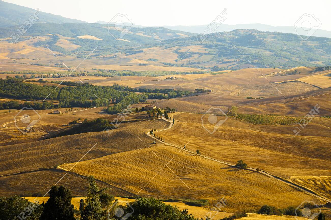 Typical Tuscan landscape at sunset in Val d? ? ? Orcia - 131748923 Typical Tuscan landscape at sunset in Val d? ? ? Orcia - 131748923