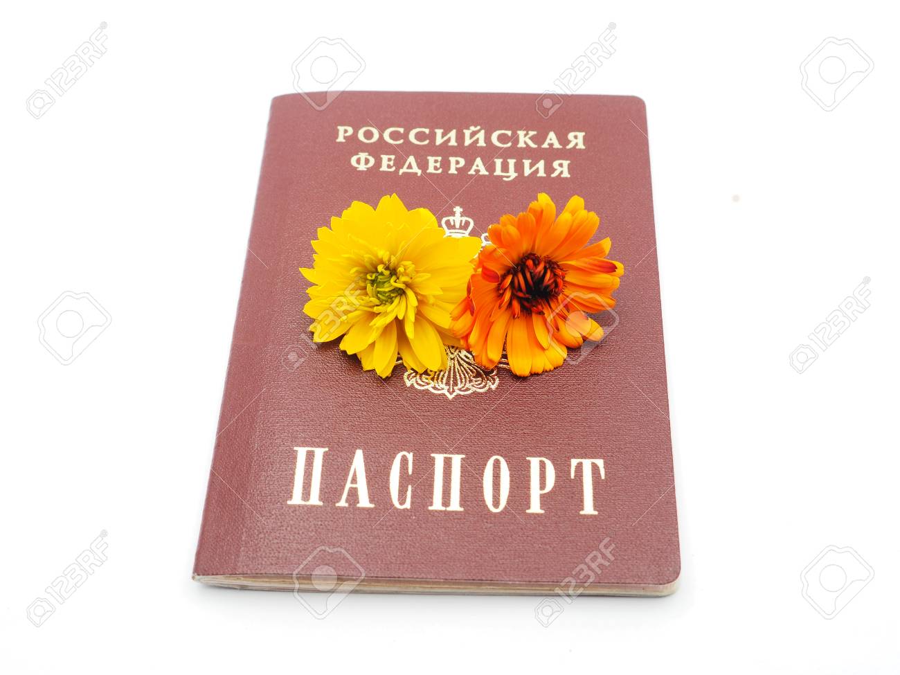 ロシアのパスポートと白地に花 の写真素材 画像素材 Image