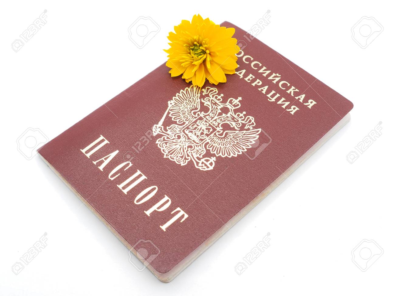 ロシアのパスポートと白地に花 の写真素材 画像素材 Image
