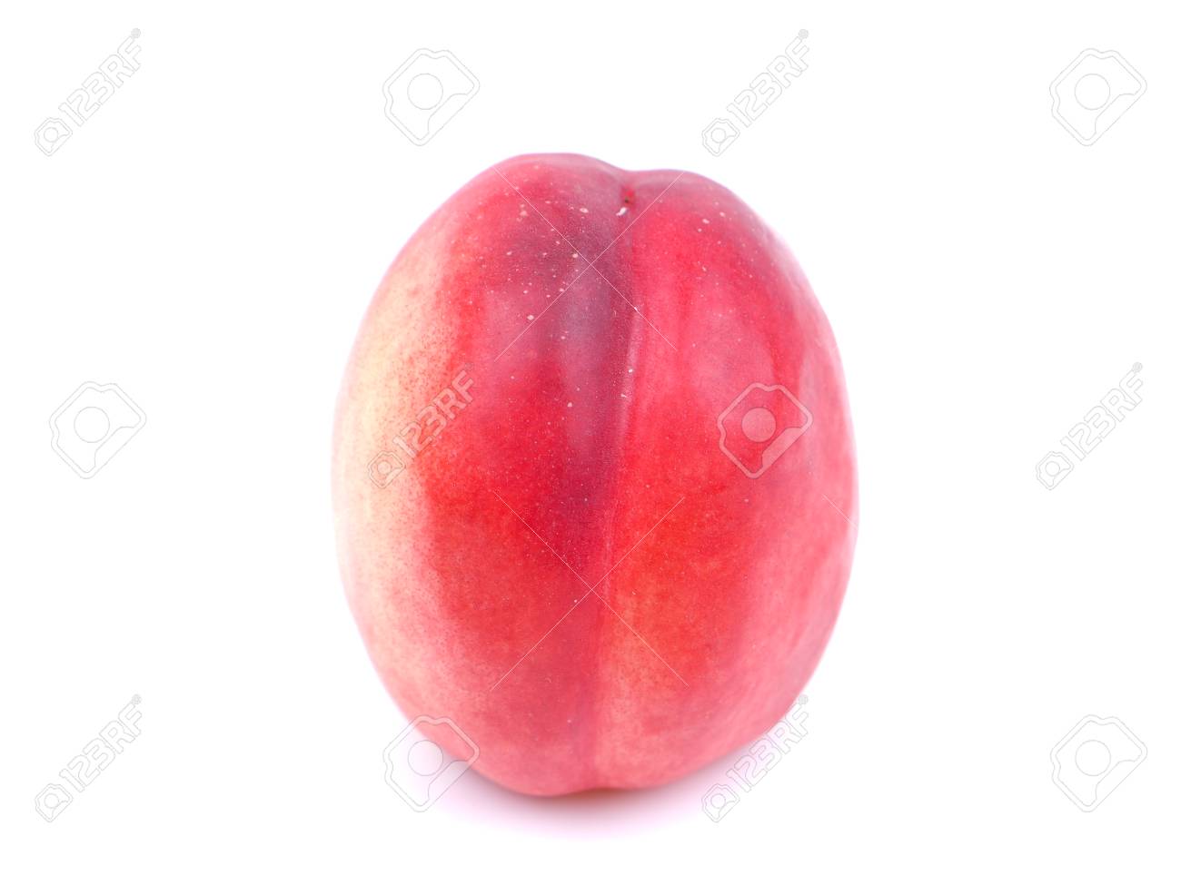 etiam-dictum-ipsum-a-felis