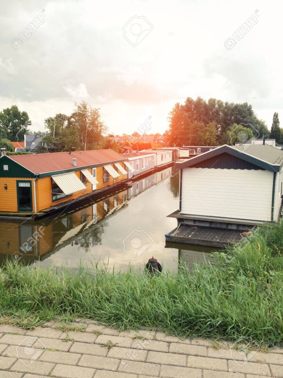 etiam-dictum-ipsum-a-felis