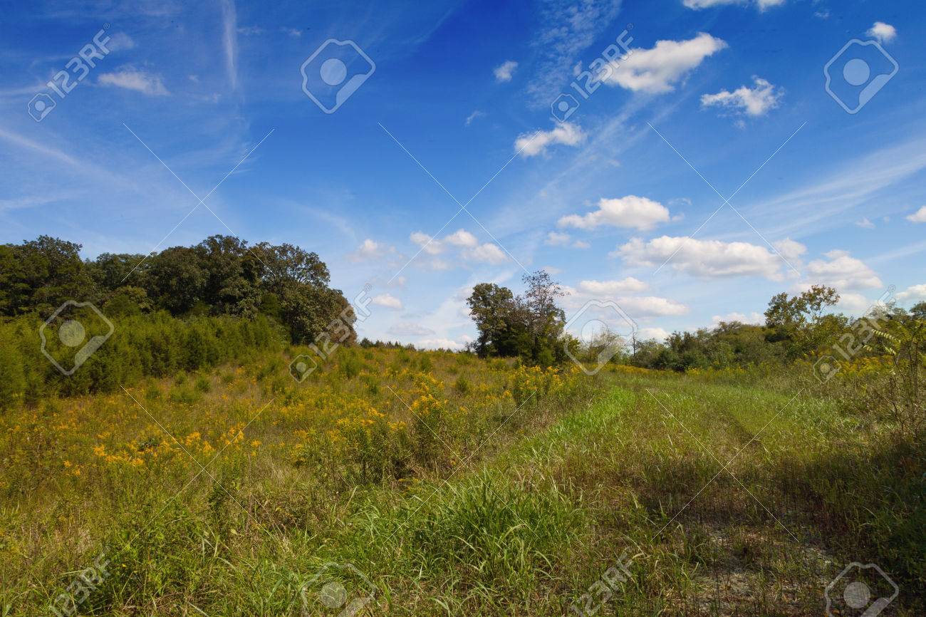 Lick creek bottoms wma tn Multiple angle porn