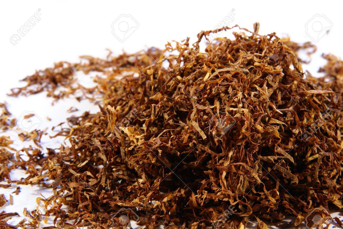Loose Shredded Tobacco For Background Or Concept Stock Photo, Picture and  Royalty Free Image. Image 2391977