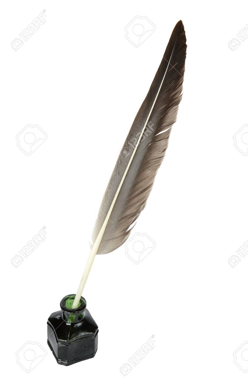 goose feather