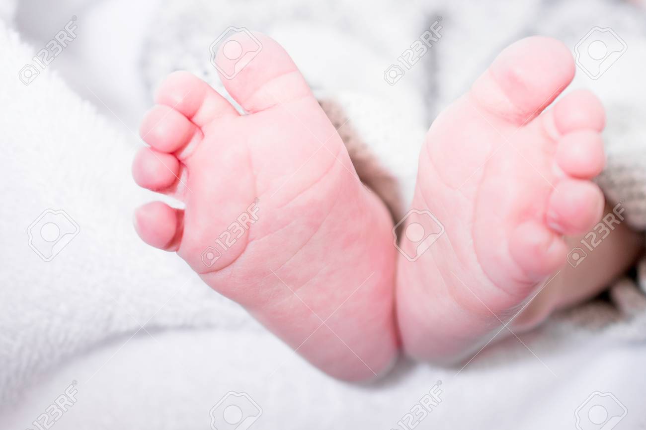 closeup of newborn baby feet template for baby book or baby stock baby photo album book