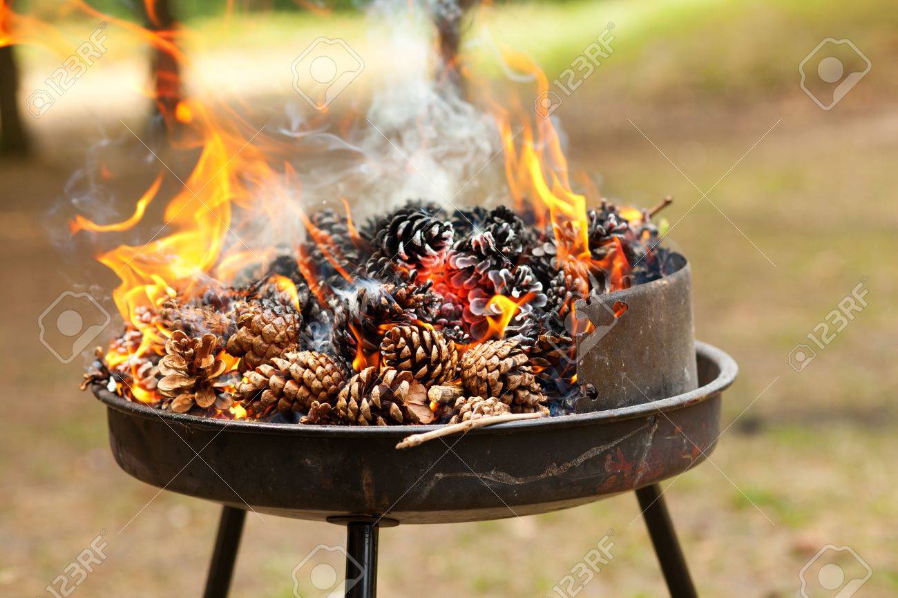 Bruler Des Pommes De Pin Preparer Des Braises Pour Les Grillades Banque D Images Et Photos Libres De Droits Image 10535677