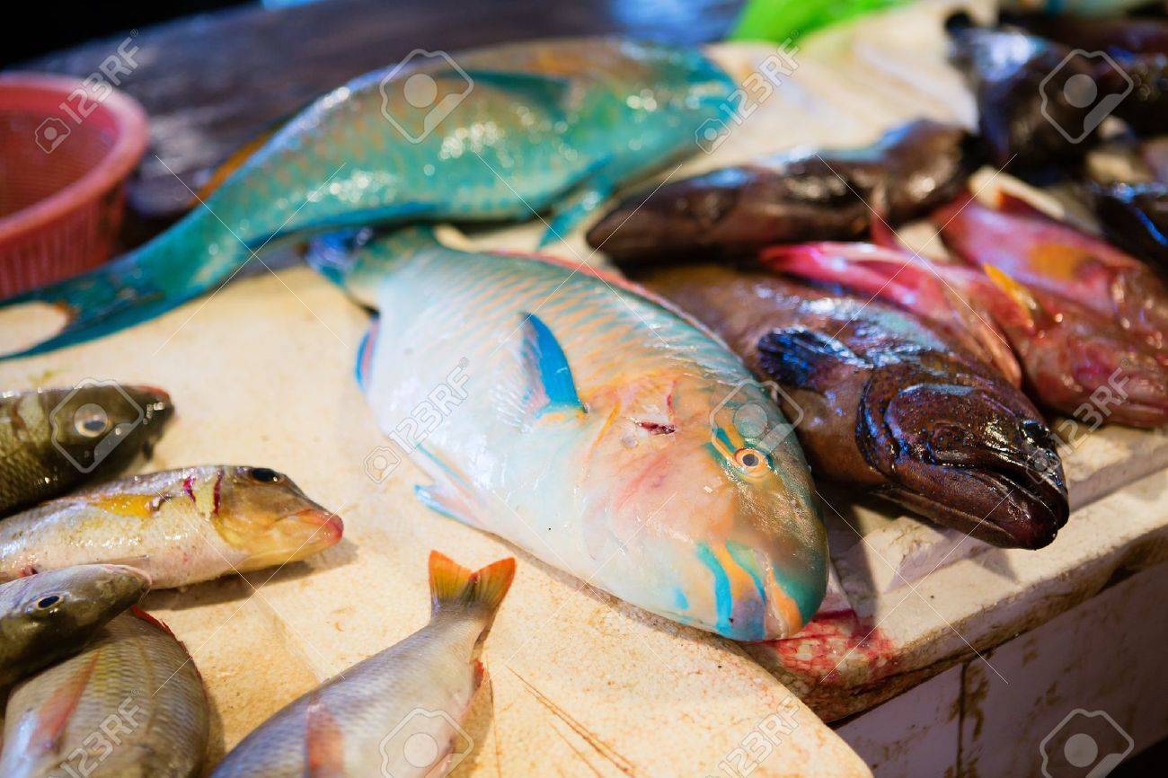 Fresh Parrot Fish On Traditional Seafood Market On Boracay Island In Philippines Stock Photo Picture And Royalty Free Image Image 17305413