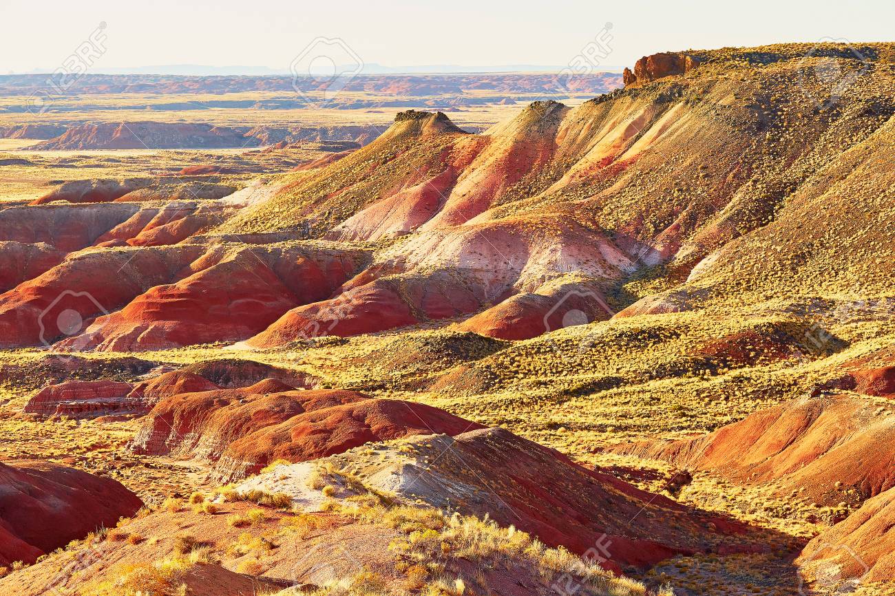 Scenic View Of A Landscape In The Painted Desert National Park Scenic view of a landscape in the Painted Desert national park in Arizona, USA Stock - Scenic View Of A Landscape In The Painted Desert National Park