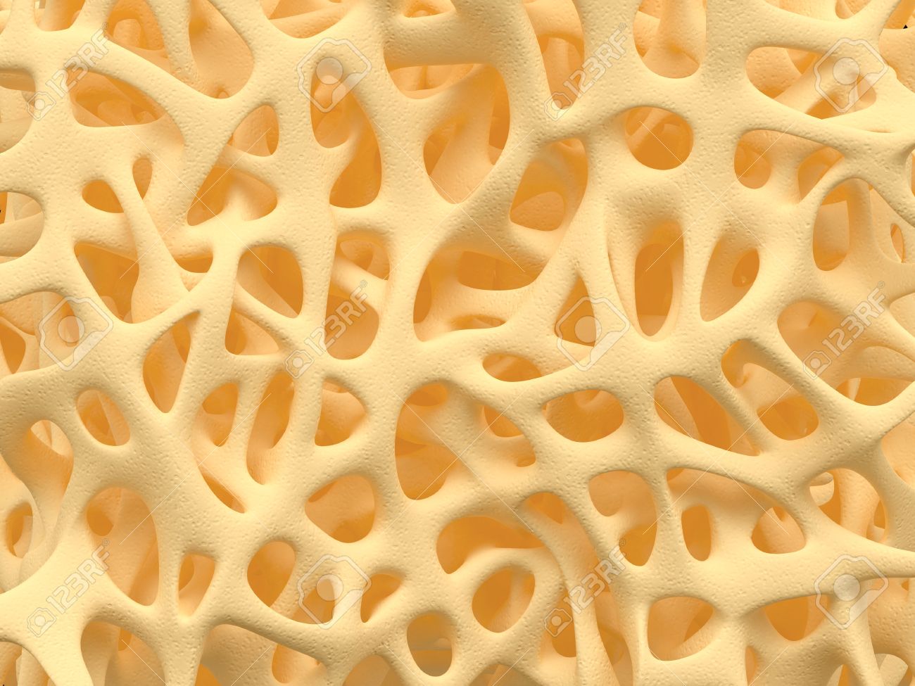 Bone spongy structure close-up, healthy texture of bone - 35870563 Bone spongy structure close-up, healthy texture of bone - 35870563
