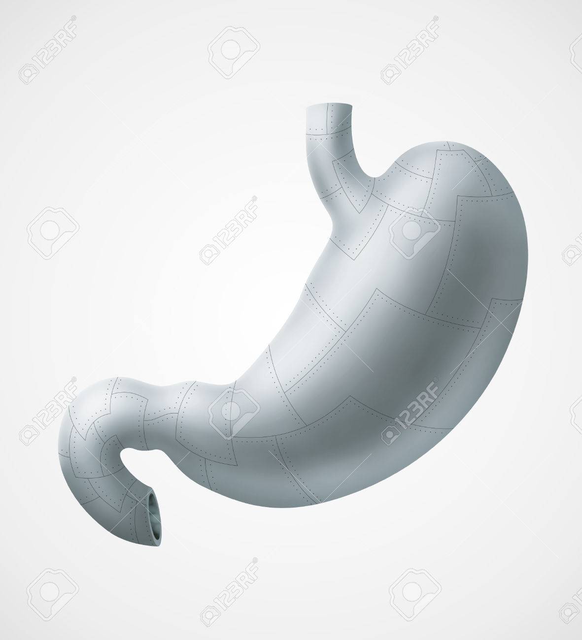 人間の胃を金属板製のイラスト の写真素材 画像素材 Image