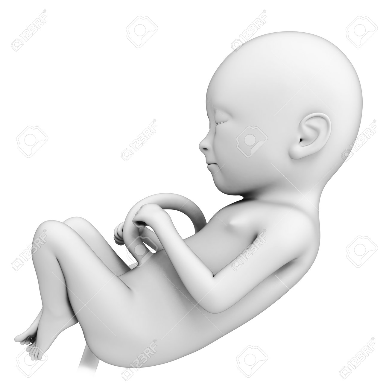 3 D レンダリングのイラスト 胎児 5 ヶ月 の写真素材 画像素材 Image