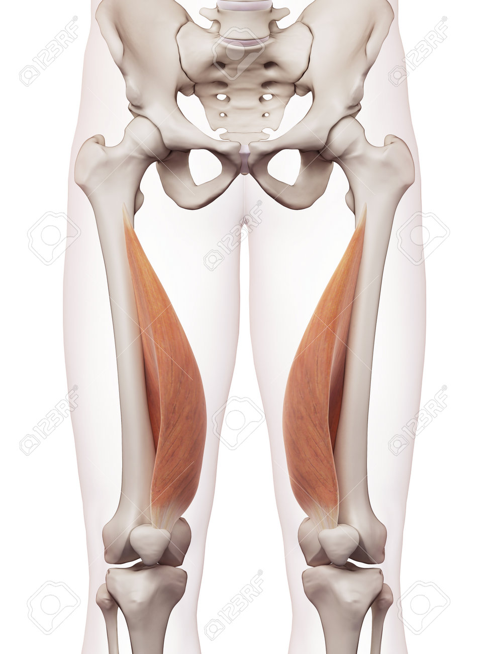 ãå
å´åºçãã®ç»åæ¤ç´¢çµæ
