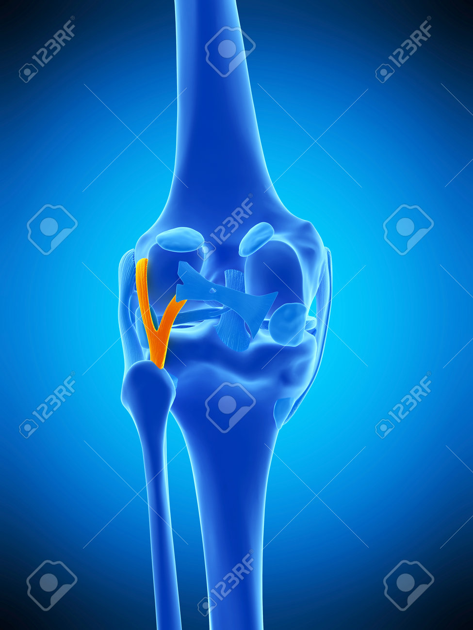 整形外科の病気 膝靱帯損傷 病気の治療 徳洲会グループ