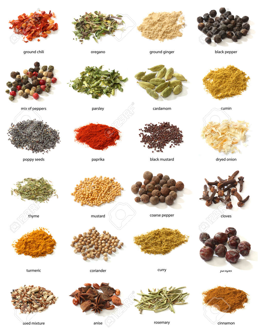 Different spices isolated on white background Large Image - 16460312 Different spices isolated on white background Large Image - 16460312