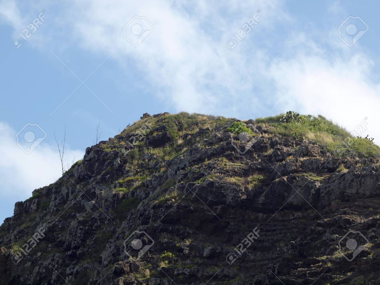 close up of mountain top area of makapu u point at the end of the ko