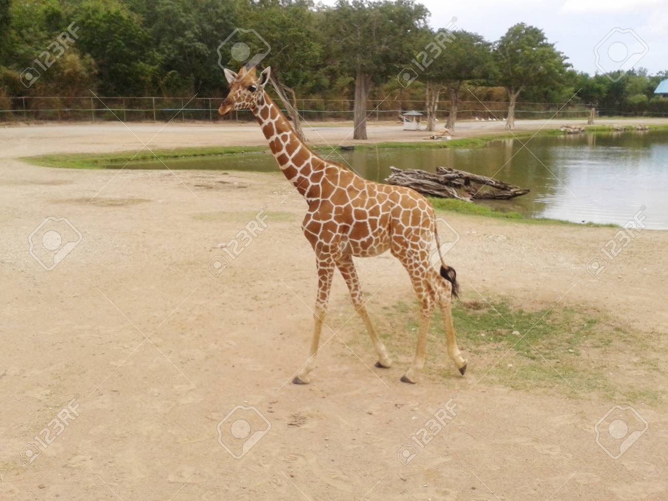 etiam-dictum-ipsum-a-felis