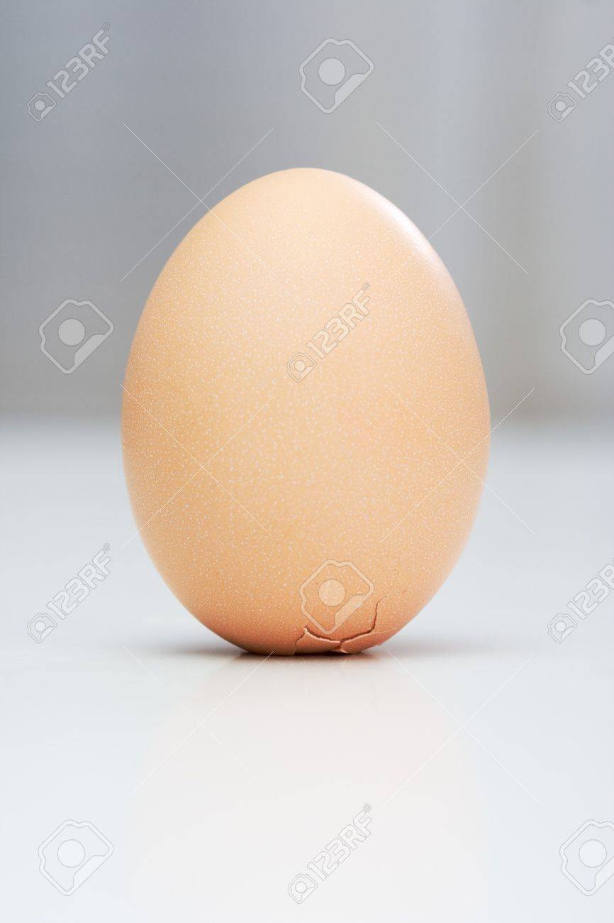 Resultado de imagen de EL HUEVO DE COLON