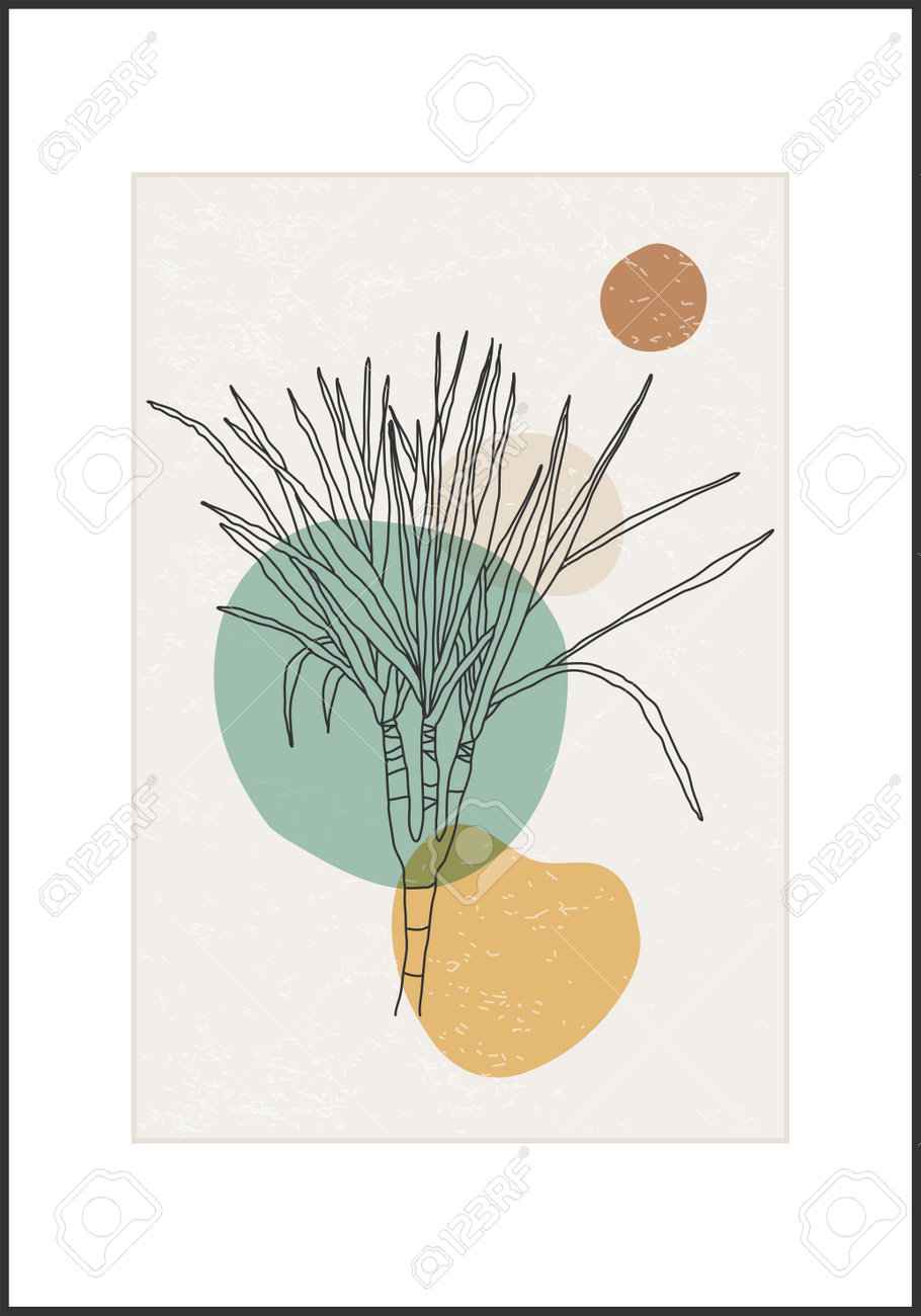 Minimalist botanical line art flower abstract collage - 169626199 Minimalist botanical line art flower abstract collage - 169626199