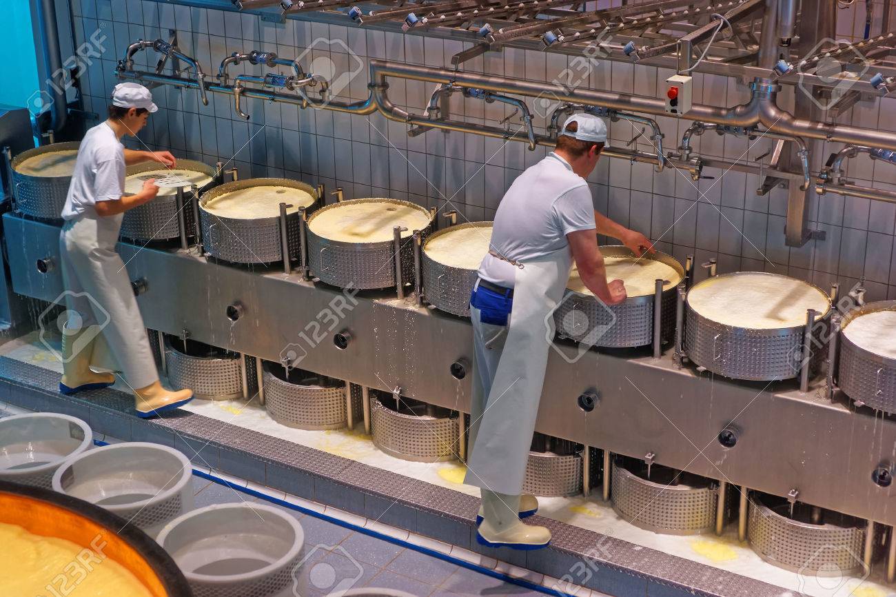 GRUYERE, SWITZERLAND - DECEMBER 31, 2014: Workers during the process of production of Gruyere cheese at the Maison du Gruyere, a famous cheese-making factory in Switzerland - 47140708 GRUYERE, SWITZERLAND - DECEMBER 31, 2014: Workers during the process of production of Gruyere cheese at the Maison du Gruyere, a famous cheese-making factory in Switzerland - 47140708