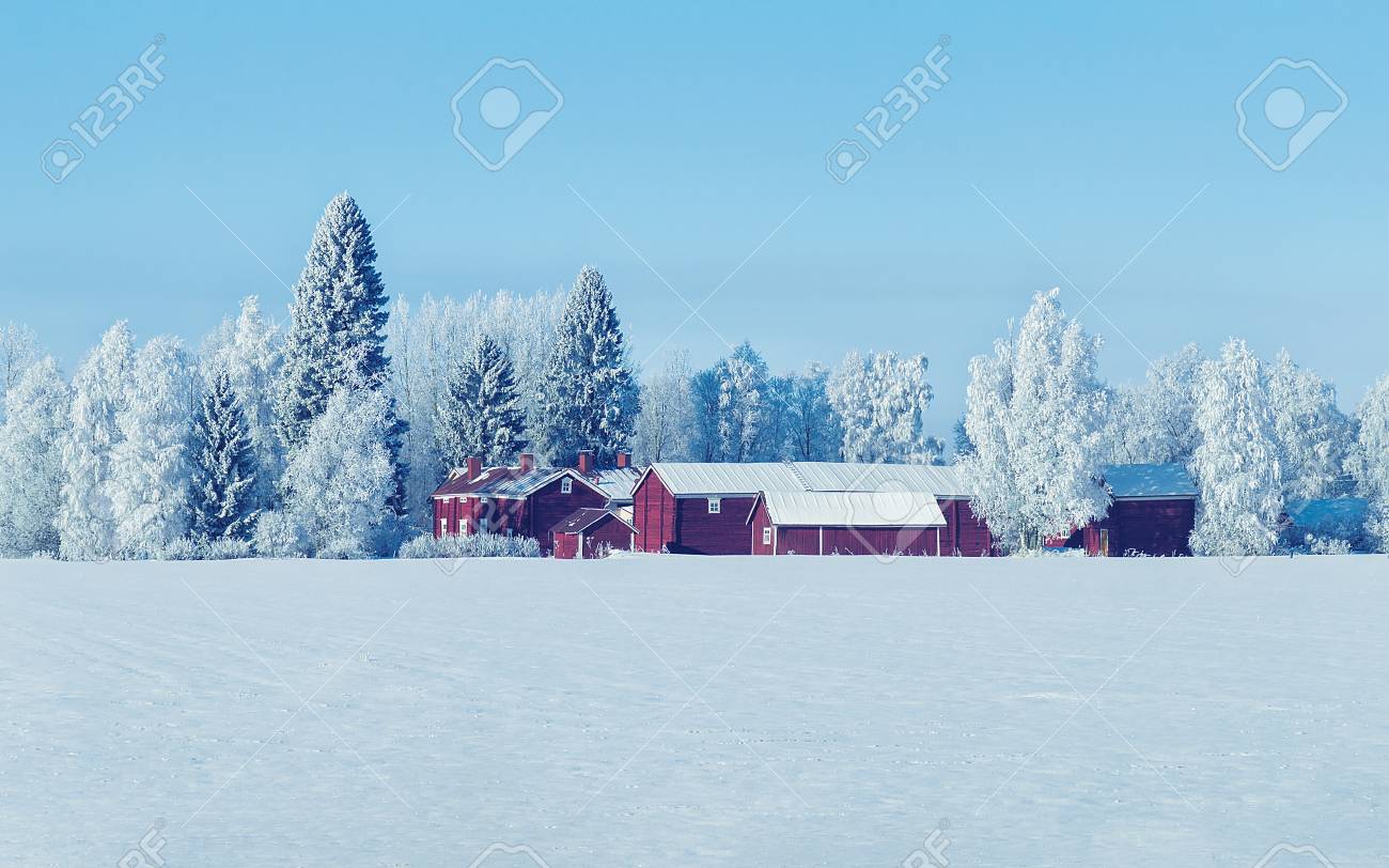 Cottage in winter countryside at Lapland, Finland, in a sunny day - 90933770 Cottage in winter countryside at Lapland, Finland, in a sunny day - 90933770