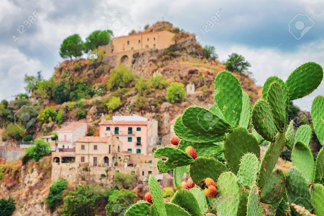 Beautiful landscape with cactus plant and Savoca village on the mountain, Sicily, Italy - 97212319 Beautiful landscape with cactus plant and Savoca village on the mountain, Sicily, Italy - 97212319