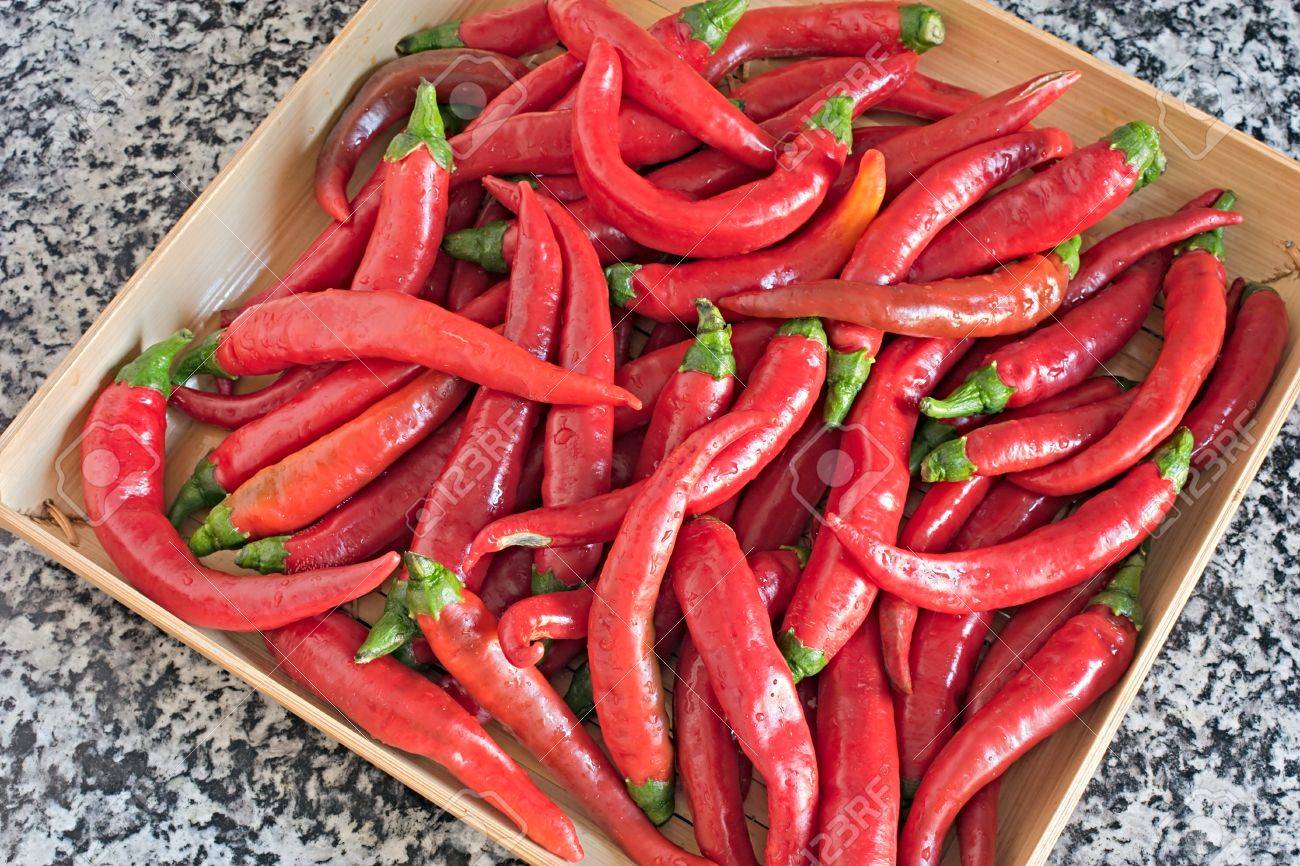 Italian red chili pepper