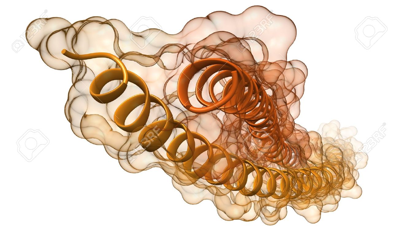 リボンのモデル人間のケラチン フィラメントの分子の化学構造 肌 髪 その他の組織のタンパク質成分 の写真素材 画像素材 Image