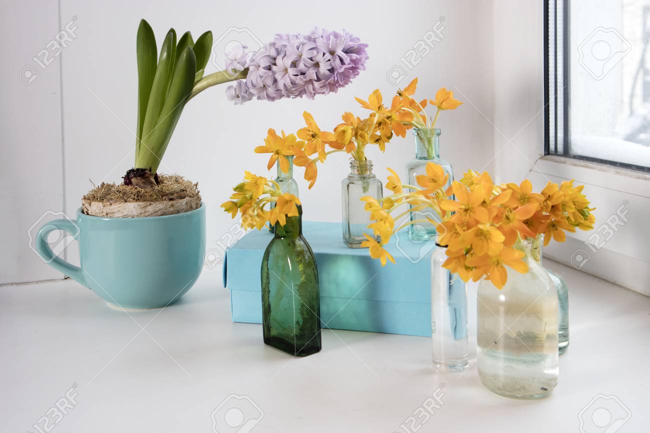 青いカップの淡いヒヤシントと花瓶の代わりに透明なボトルに咲く黄色のオルニトホガラムダビウム の写真素材 画像素材 Image