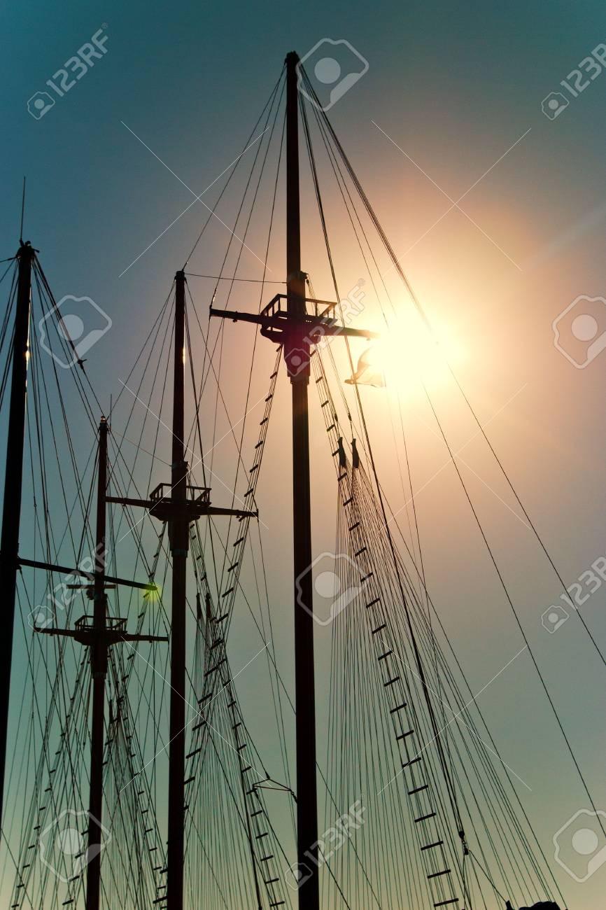 etiam-dictum-ipsum-a-felis