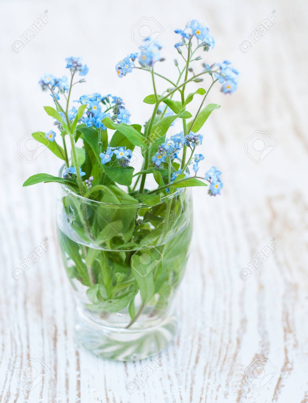 Augarten アウガルテン 忘れな草 勿忘草 花瓶 ベース アウガルテン