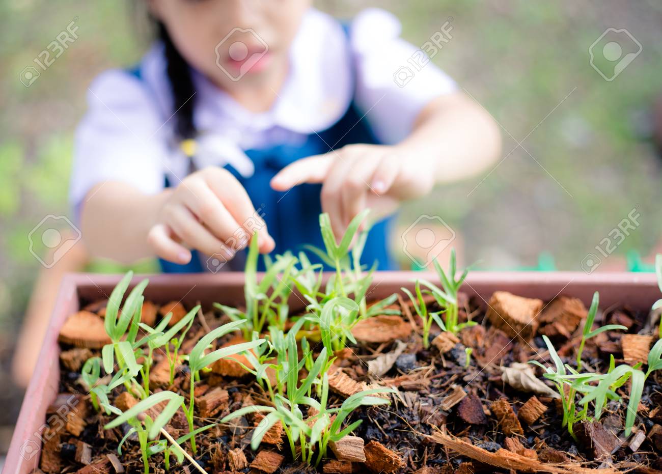 家庭菜園で子供 の写真素材 画像素材 Image