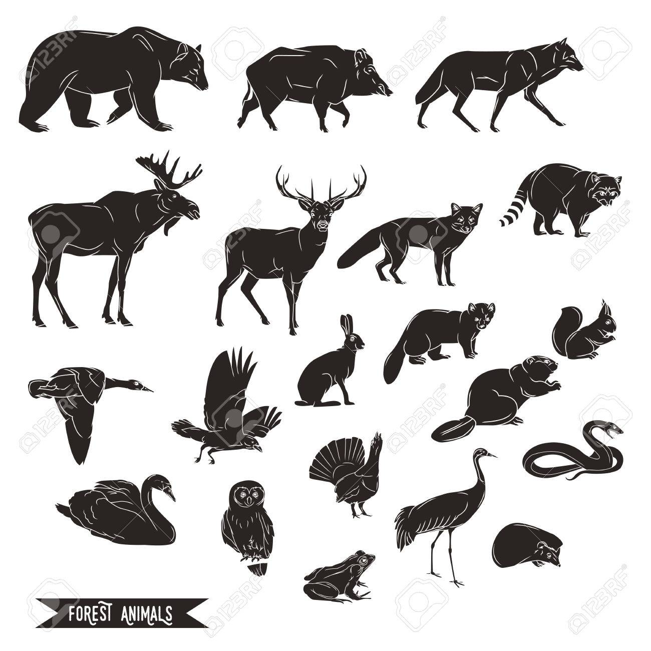 Forest animals silhouettes vintage. Vector illustration in line art isolated - 58817414 Forest animals silhouettes vintage. Vector illustration in line art isolated - 58817414