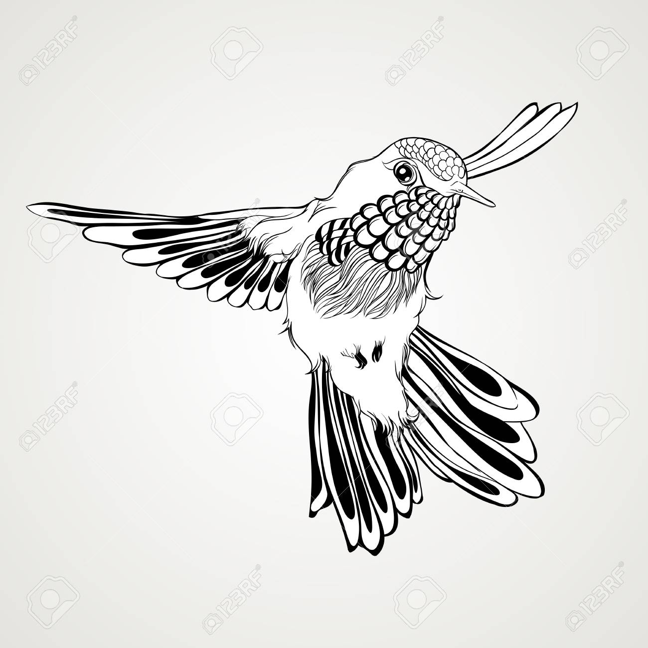 Style Vintage Oiseau Volant De Dessinés à La Main Art De Tatouage élégant Illustration Vectorielle Isolée