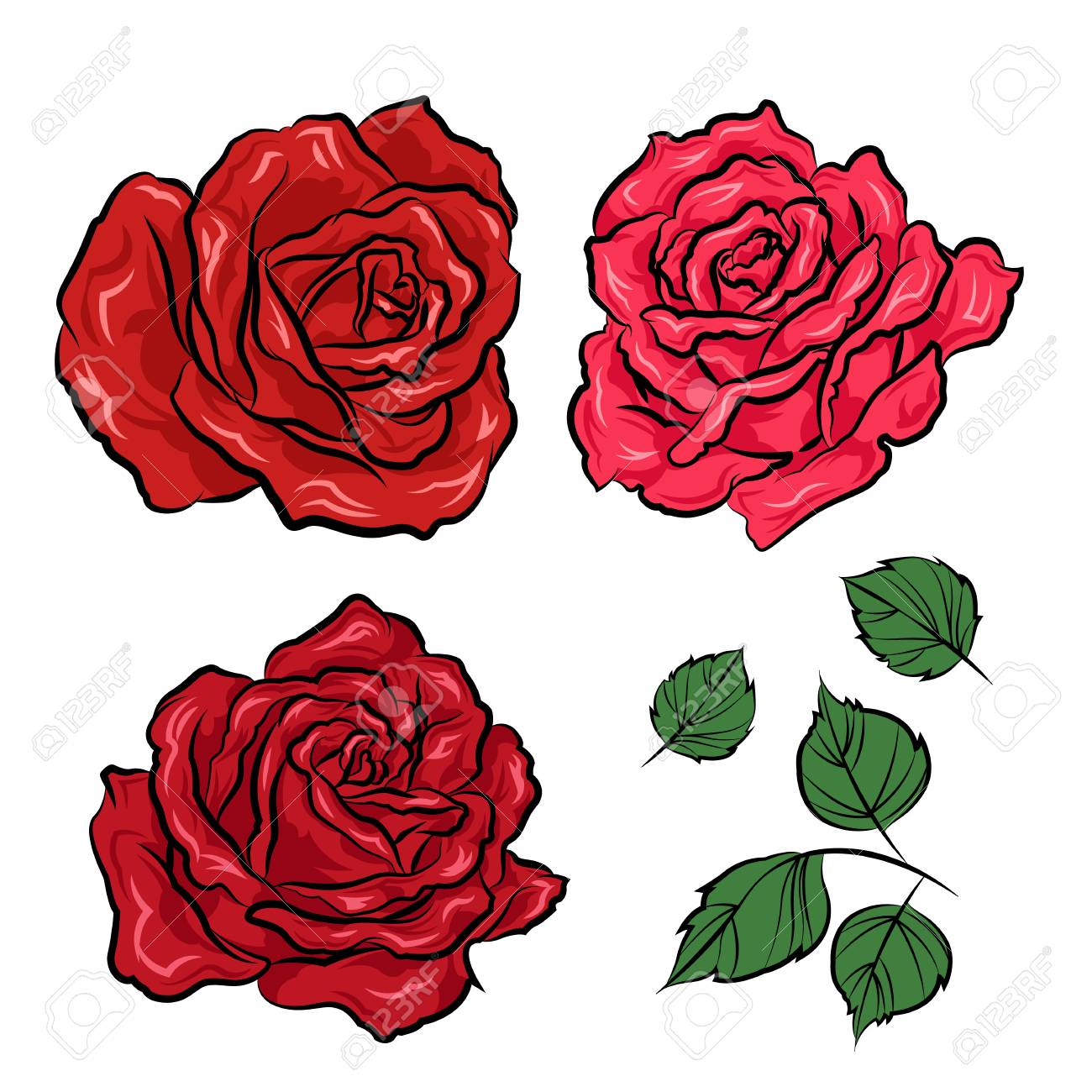 hand drawn roses and leaves isolated on white background vector