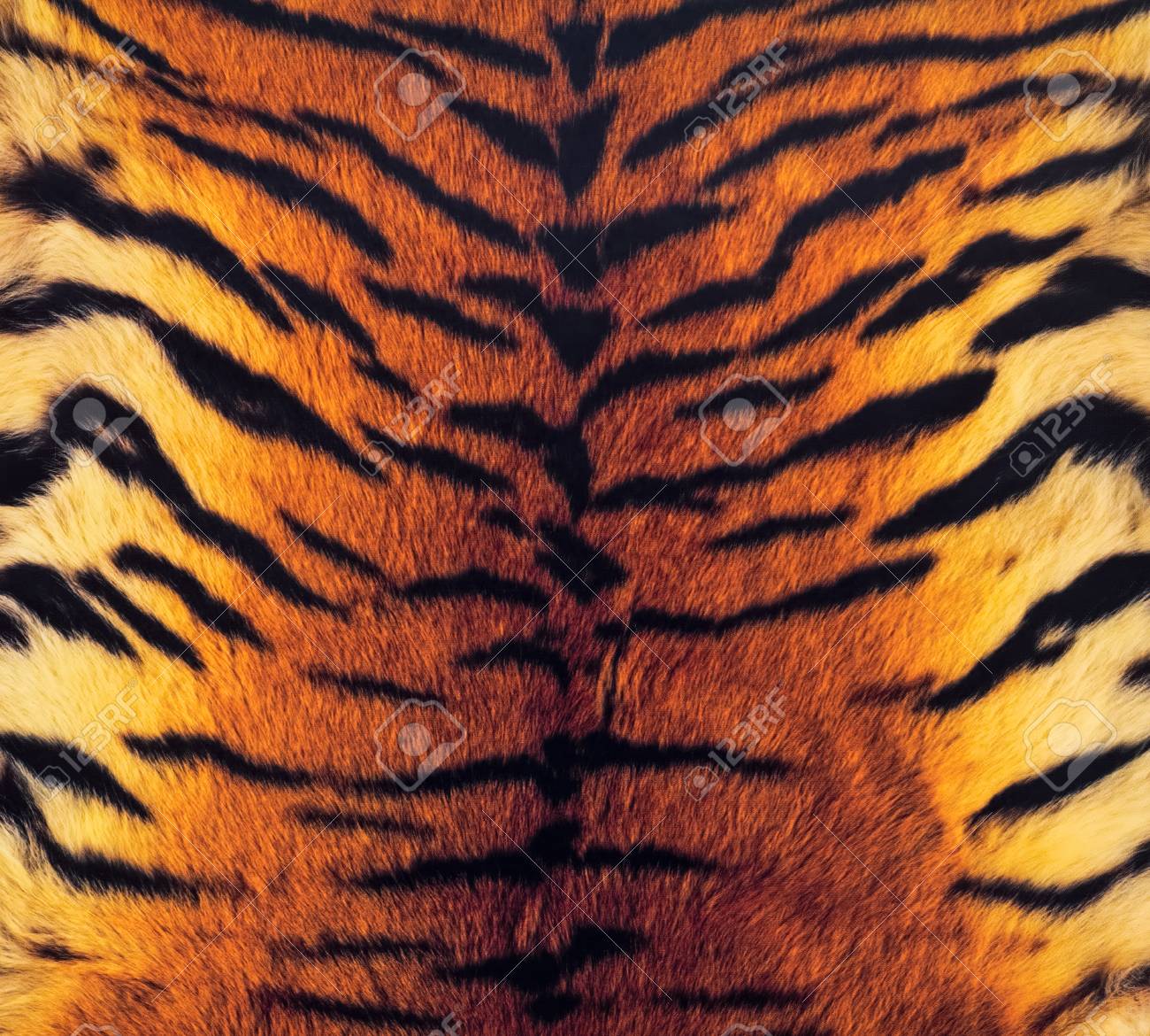 background image of the tiger s skin stock photo picture and