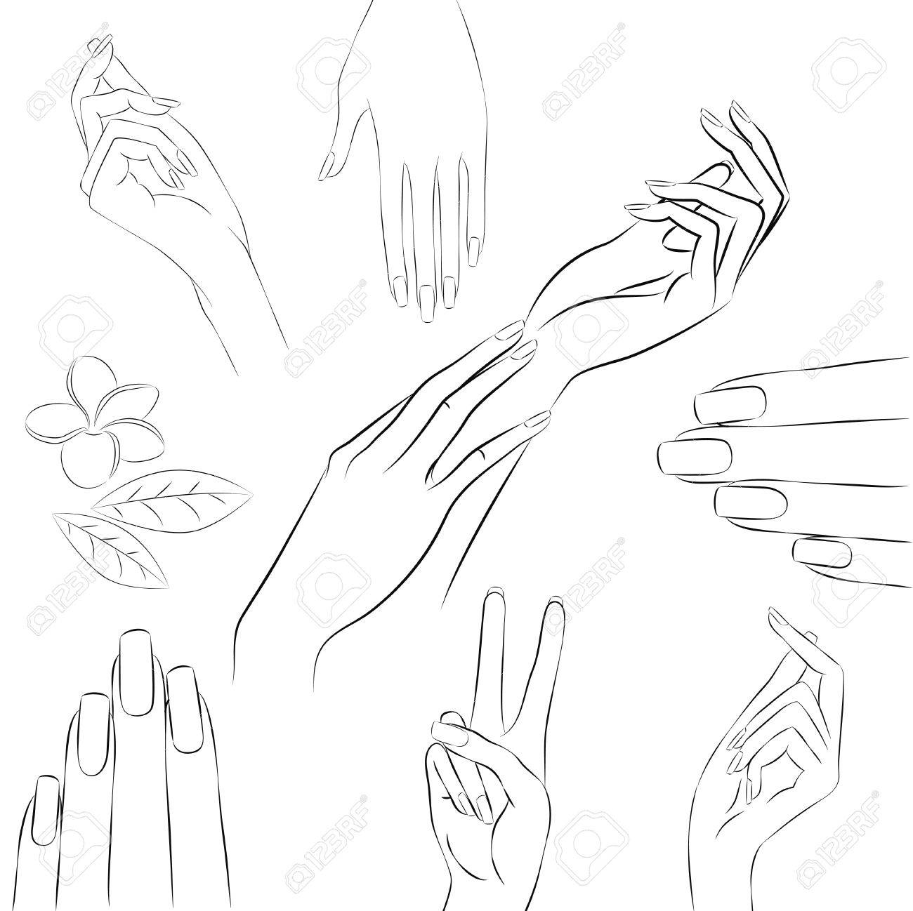 collection of hand drawn elegant womans hands in various gestures