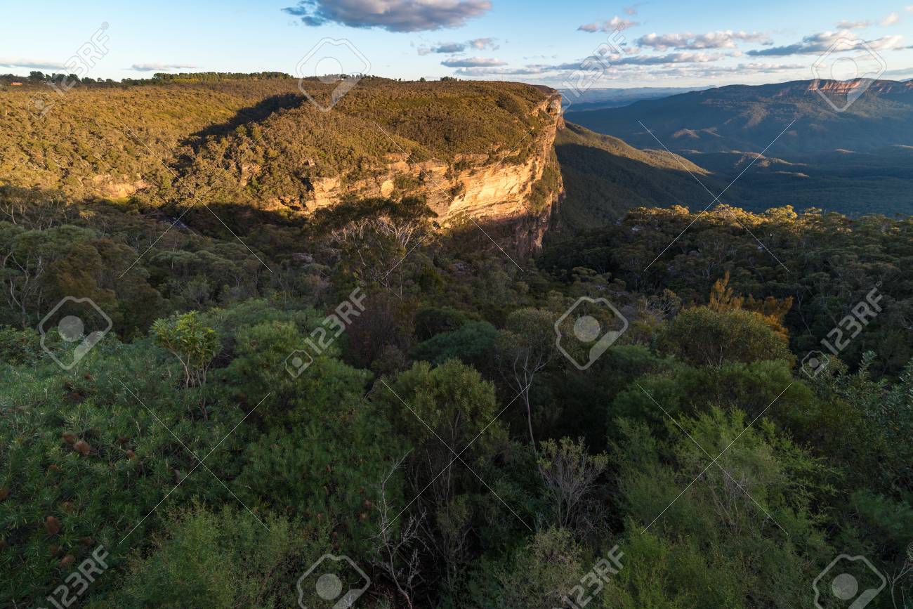 ユーカリの森で青山の風景 ブルー マウンテン国立公園 ニュー ユーカリの森で青山の風景 ブルー マウンテン国立公園 ニュー