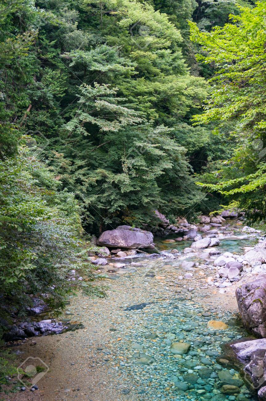 緑の木々 と岩の上に透明な川の美しい森の風景 長野県 日本 の写真素材 画像素材 Image