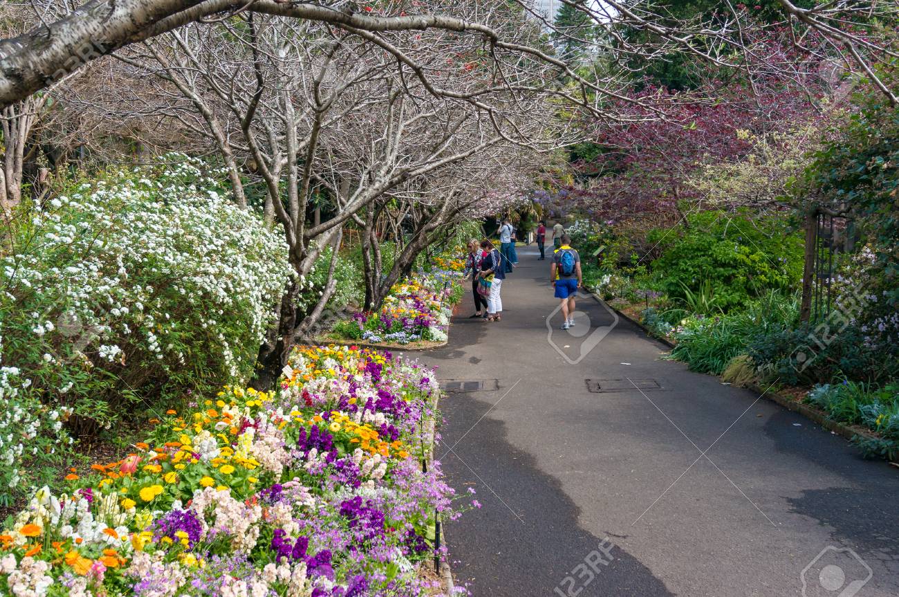 シドニー王立植物園の春路地を歩くシドニー オーストラリア 17 年 9 月 23 日 人 の写真素材 画像素材 Image