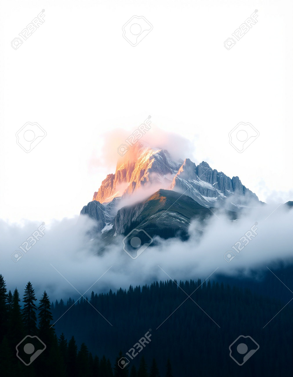 etiam-dictum-ipsum-a-felis