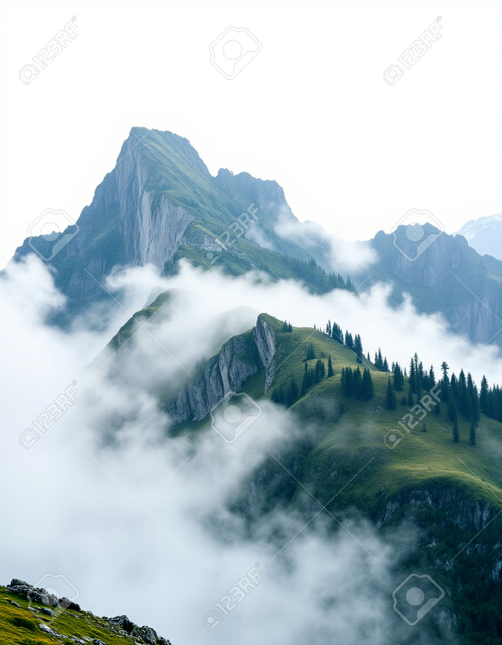 etiam-dictum-ipsum-a-felis