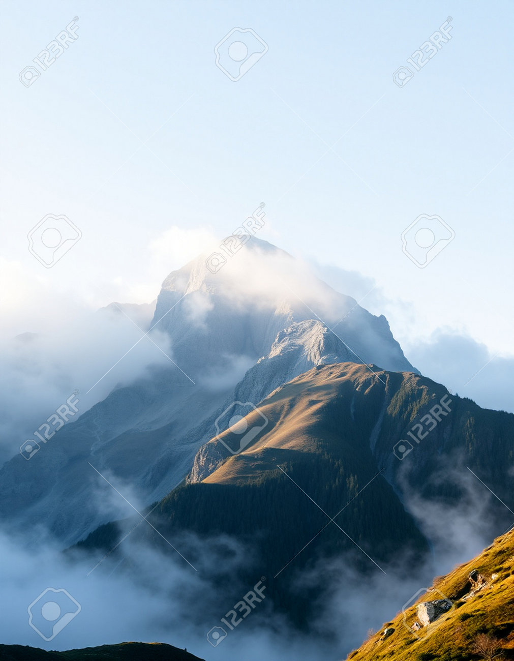 etiam-dictum-ipsum-a-felis