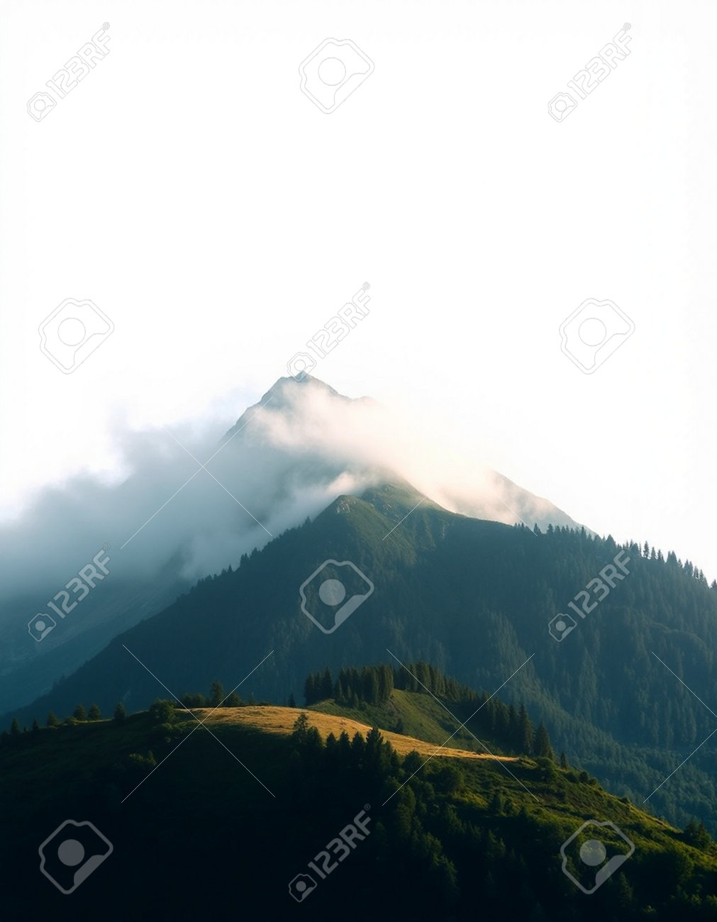 etiam-dictum-ipsum-a-felis